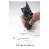 A black bear is being held by someone